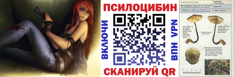 Купить где  Курчатов  Псилоцибиновые грибы Magic Shrooms 